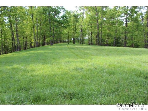 Tract #3 North Tract Drive Mill Spring, NC 28756 - Photo 21 of 24