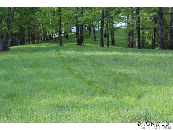 Tract #3 North Tract Drive Mill Spring, NC 28756 - Photo 22 of 24