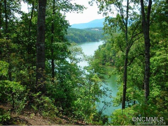 Tract #3 North Tract Drive Mill Spring, NC 28756 - Photo 23 of 24