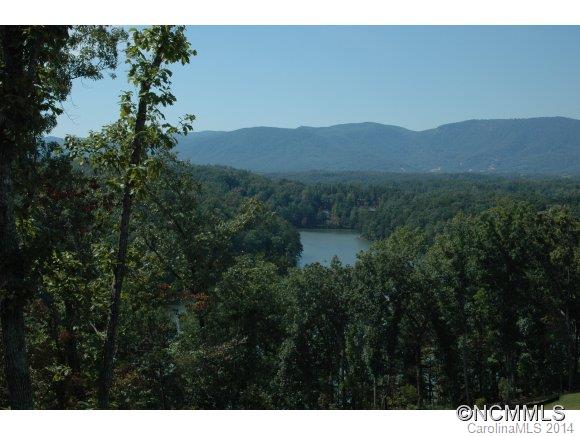 Tract #3 North Tract Drive Mill Spring, NC 28756 - Photo 5 of 24