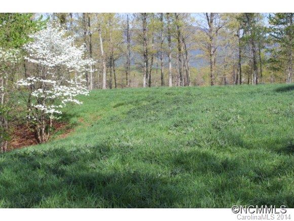 Tract #3 North Tract Drive Mill Spring, NC 28756 - Photo 10 of 24