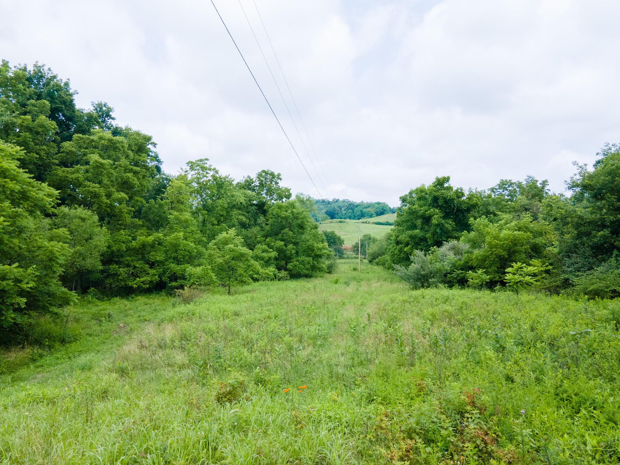 0 White Eyes Road Norwich, OH 43767 - Photo 7 of 14 DJI_0020