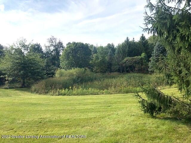 318 West Dansville Road Mason, MI 48854 - Photo 3 of 17 Front Yard
