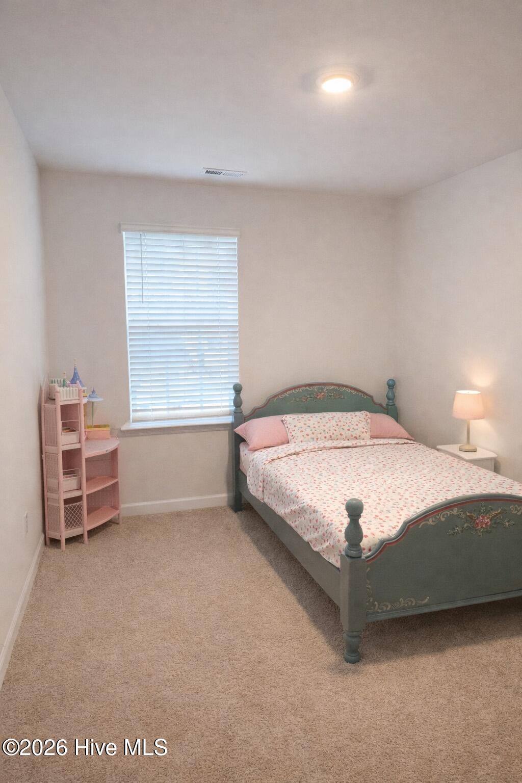 3301 Alibird Lane Carthage, NC 28327 - Photo 8 of 9 IMG_4946