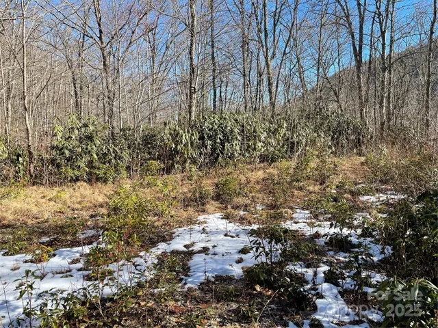 a view of garden with trees