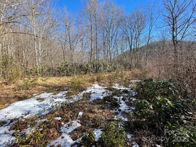 $25,000 | 0 Deep Gap View, Unit 51, Whittier, NC 28789