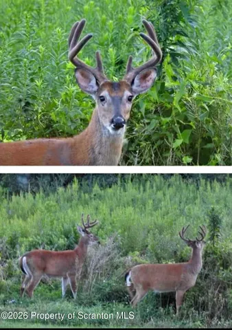 $365,000 | 158 Backwoods Lane, Mehoopany, PA 18629