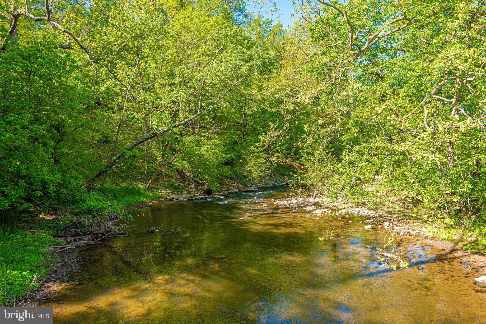 2870 Station Road Middletown, MD 21769 - Photo 80 of 93