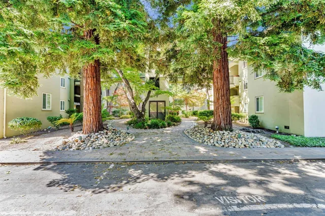 a view of a tree next to a road
