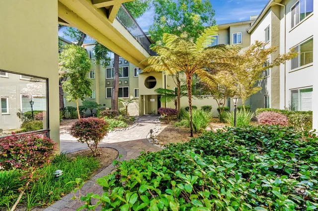 a front view of a house with garden and plants