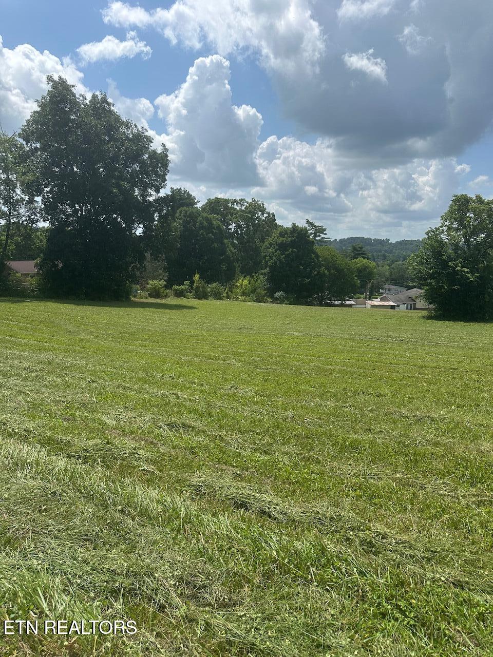 1035 Green Road Madisonville, TN 37354 - Photo 33 of 46 IMG_1207