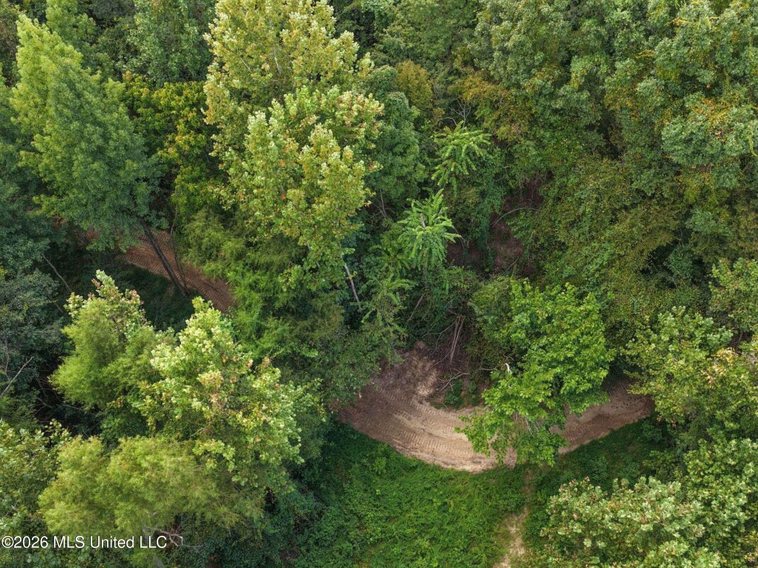 173 Cascilla Road Holcomb, MS 38940 - Photo 46 of 67 3csrdg42