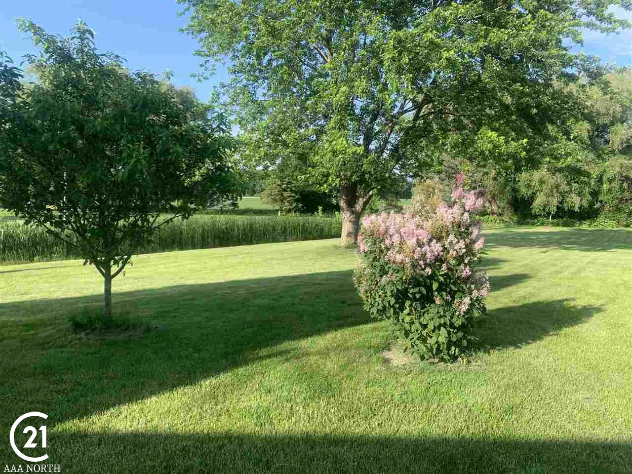 886 Riley Center Road Memphis, MI 48041 - Photo 43 of 45