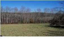 0 Cyrus Daniel Road Pikeville, TN 37332 - Photo 1 of 16 Primary Photo