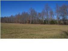 0 Cyrus Daniel Road Pikeville, TN 37332 - Photo 3 of 16 Additional Photo
