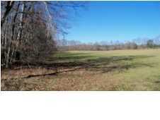 0 Cyrus Daniel Road Pikeville, TN 37332 - Photo 6 of 16 Additional Photo