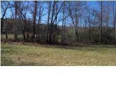0 Cyrus Daniel Road Pikeville, TN 37332 - Photo 9 of 16 Additional Photo