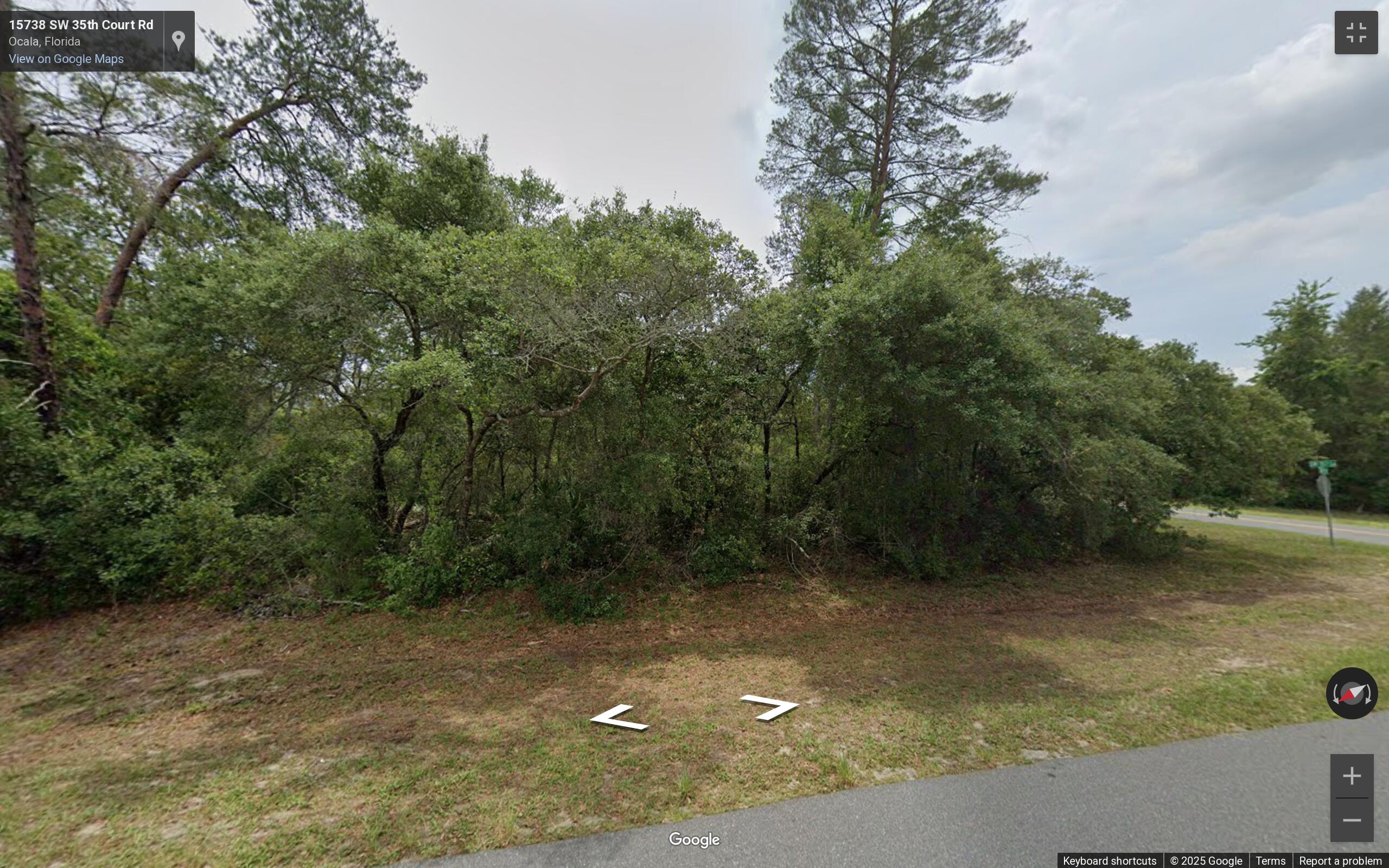 0 Southwest 35th Court Road Ocala, FL 34473 - Photo 8 of 9 a view of a yard with a tree