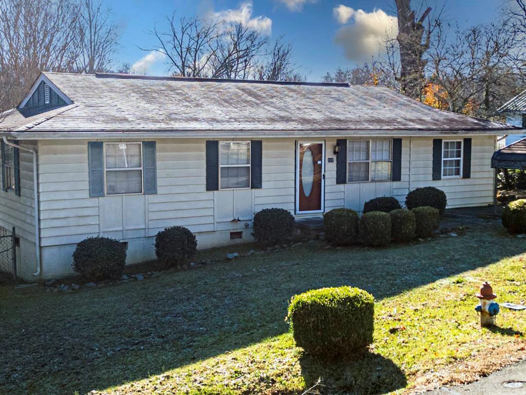 101 River Street Blue Ridge, GA 30513 - Photo 2 of 32