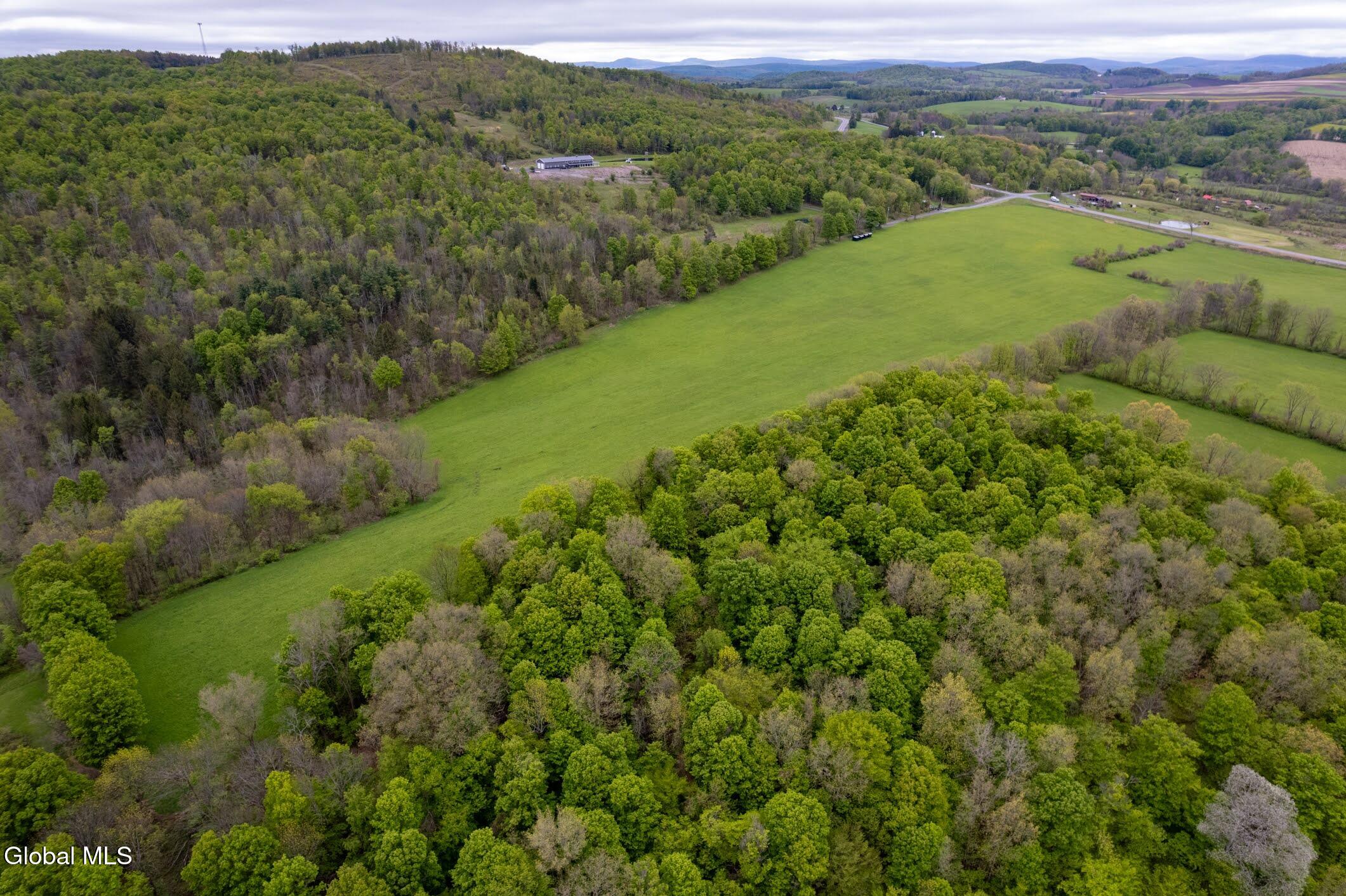 229 Scofield Road Sharon Springs, NY 13459 - Photo 11 of 17 7-229 Scofield