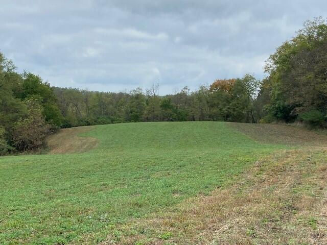 0 Brooksville Chatham Road Augusta, KY 41002 - Photo 1 of 7 Gallery Image 1