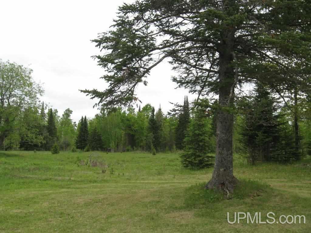 Tbd Co Rd H26 Rock, MI 49880 - Photo 6 of 17