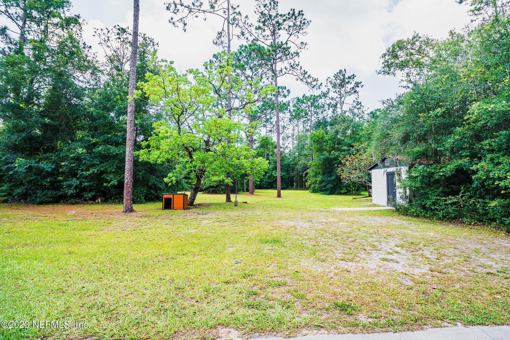 3991 Bronco Road Middleburg, FL 32068 - Photo 38 of 41 a view of a swimming pool and trees in the background