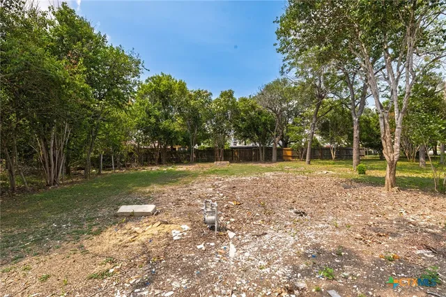 a view of a park with large trees