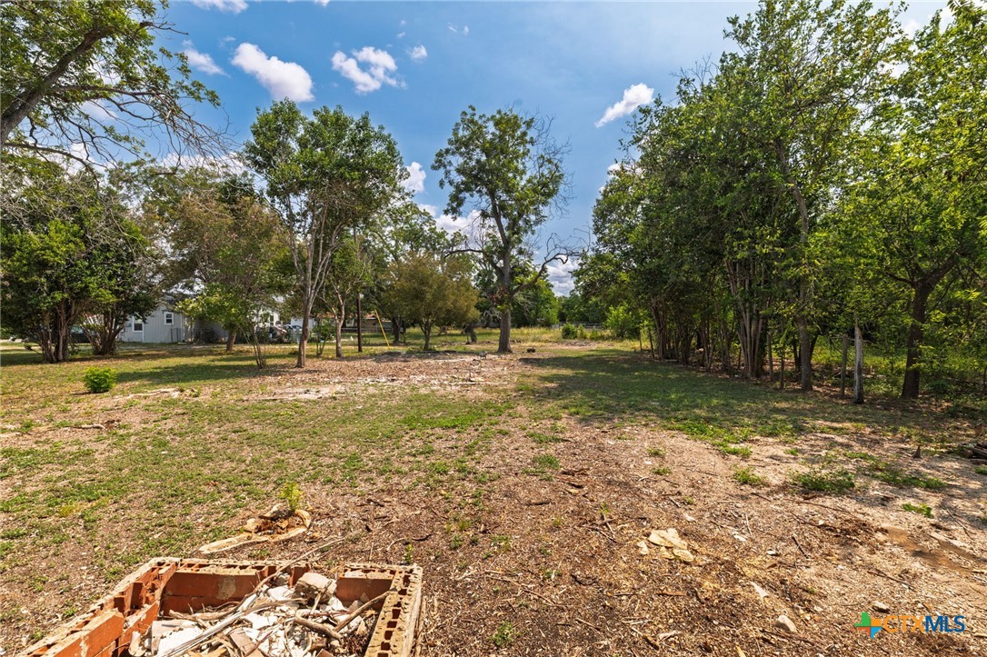1308 Bert Street Seguin, TX 78155 - Photo 18 of 19