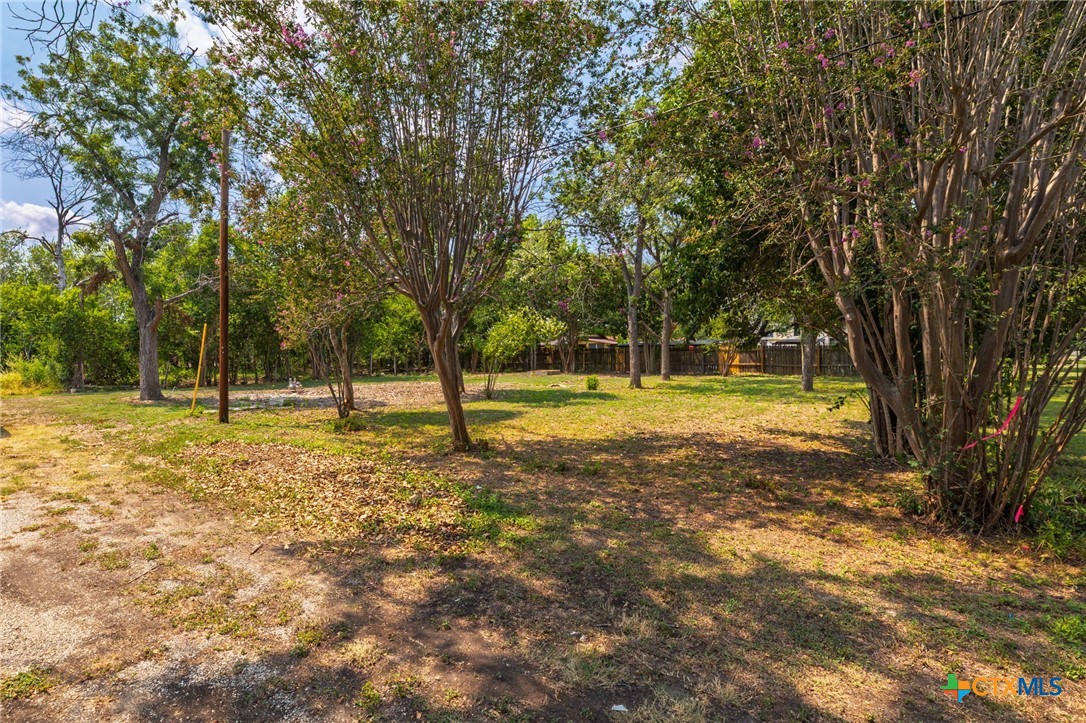 1308 Bert Street Seguin, TX 78155 - Photo 9 of 19
