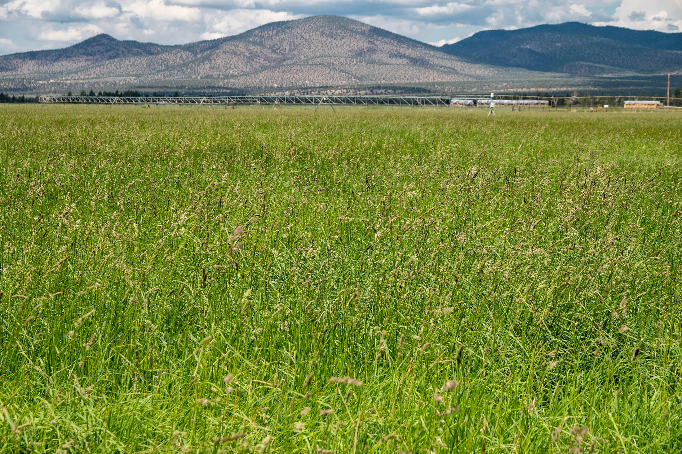 63025 Schmidt Road Bend, OR 97701 - Photo 54 of 65 63025 Schmidt Rd_0086 copy