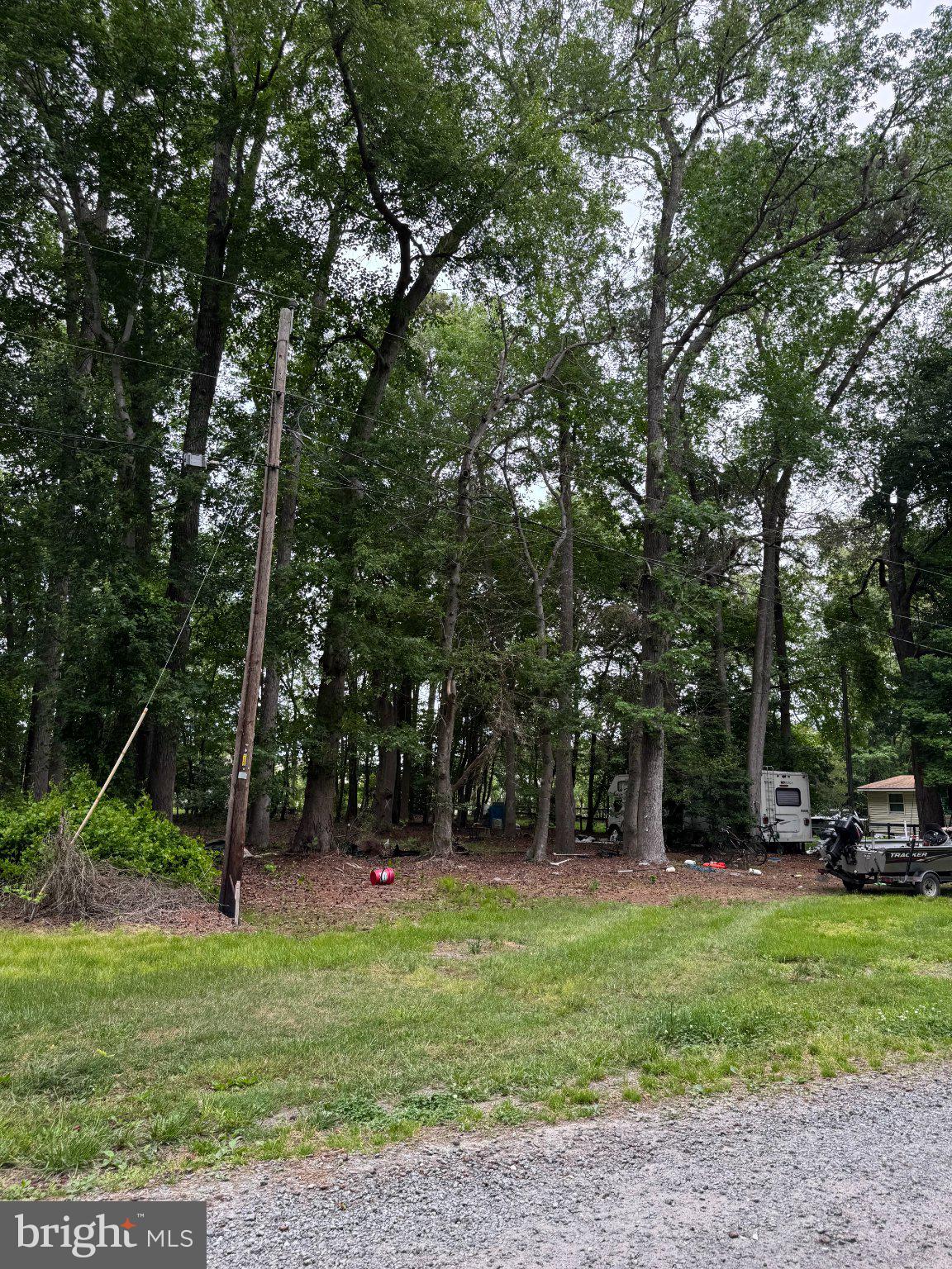 36129 New Marydels Road Frankford, DE 19945 - Photo 6 of 11 Lush greenery surrounds a tranquil space.