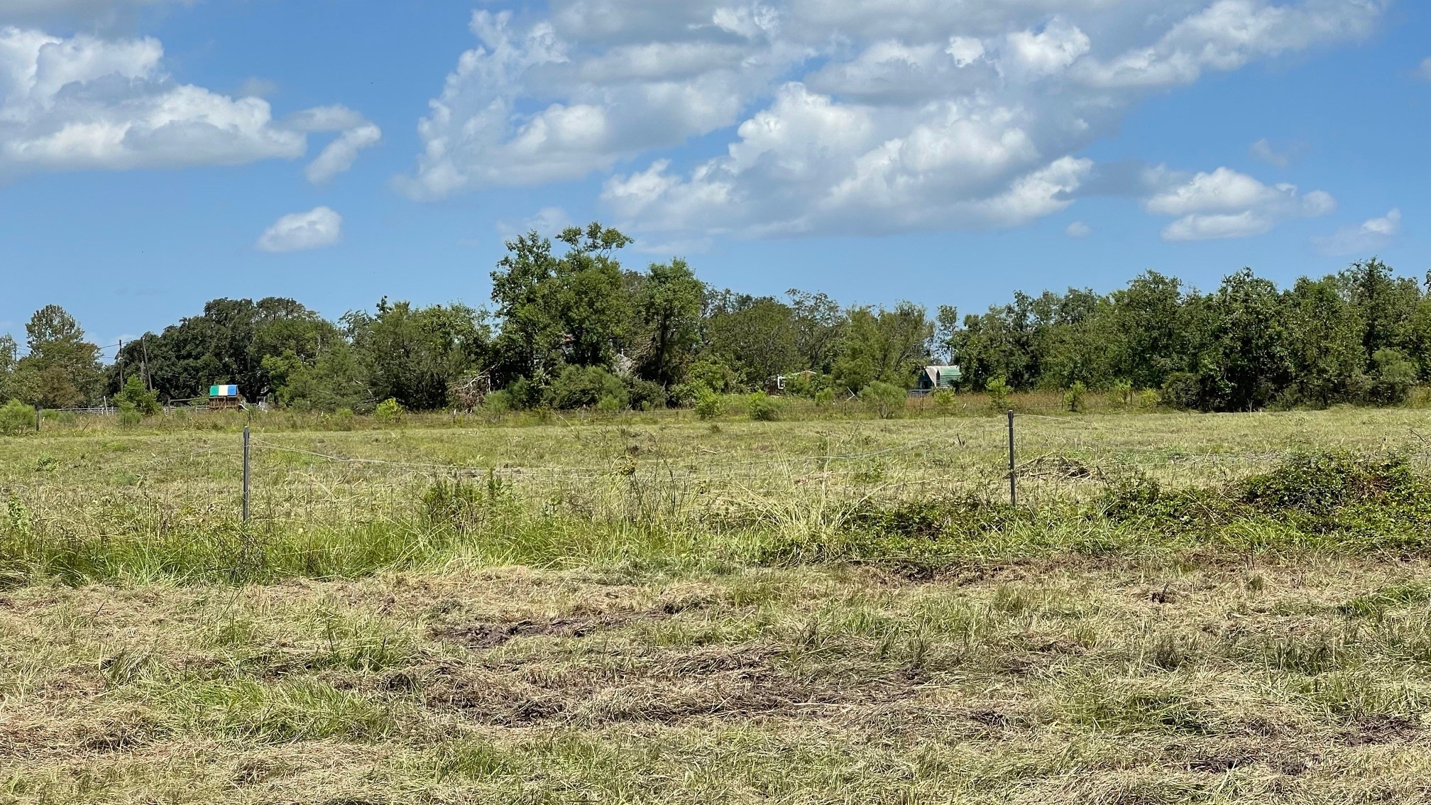 1602 County Road 62 Rosharon, TX 77583 - Photo 5 of 11 a view of a field with wooden fence