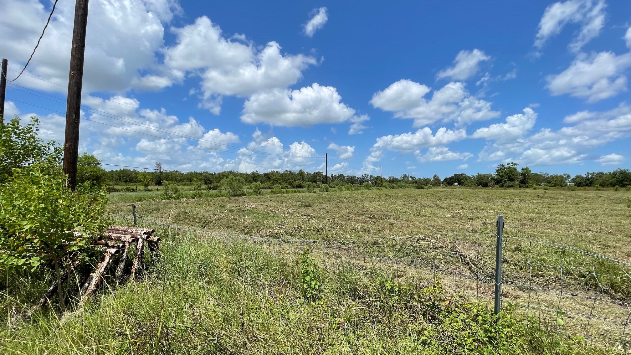 1602 County Road 62 Rosharon, TX 77583 - Photo 6 of 11