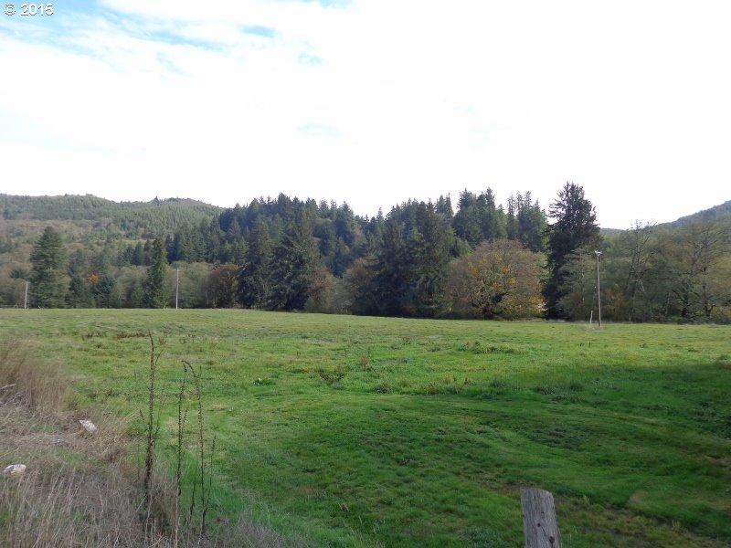 22505 Highway 101 South Beaver, OR 97112 - Photo 22 of 30 Prop2