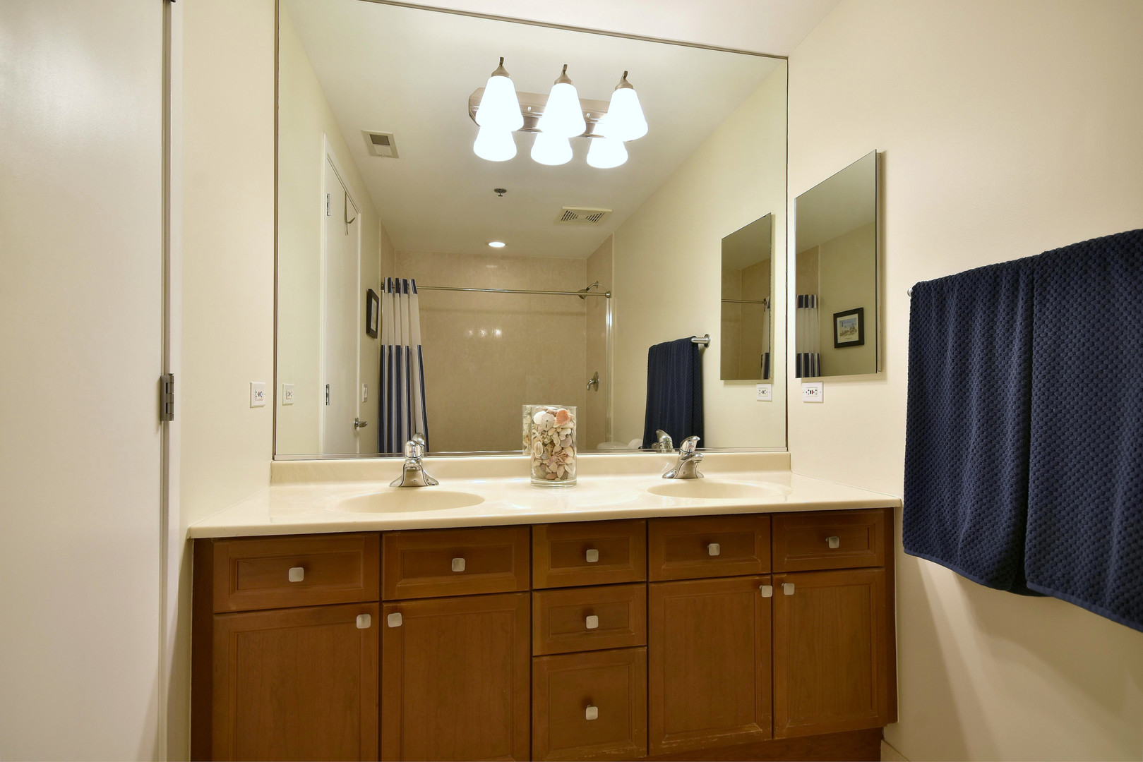 1201 West Adams Street, Unit 411 Chicago, IL 60607 - Photo 25 of 40 a bathroom with a sink vanity and a mirror