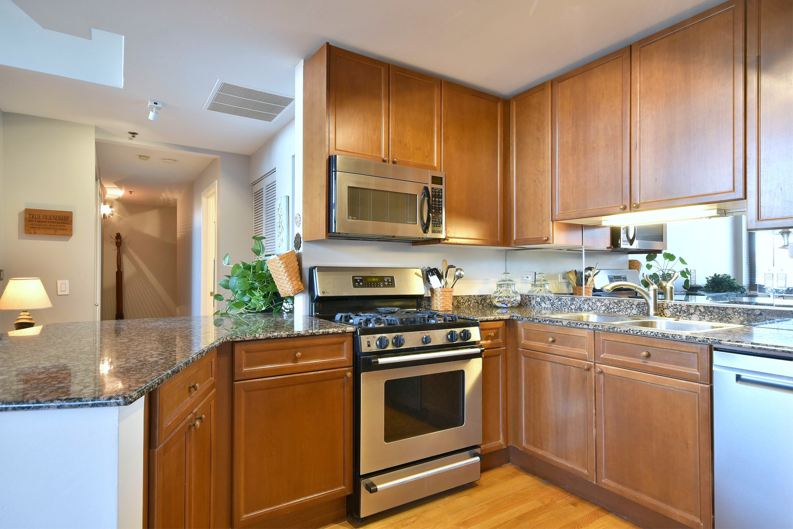 1201 West Adams Street, Unit 411 Chicago, IL 60607 - Photo 9 of 40 a kitchen with granite countertop wooden cabinets stainless steel appliances and a counter space