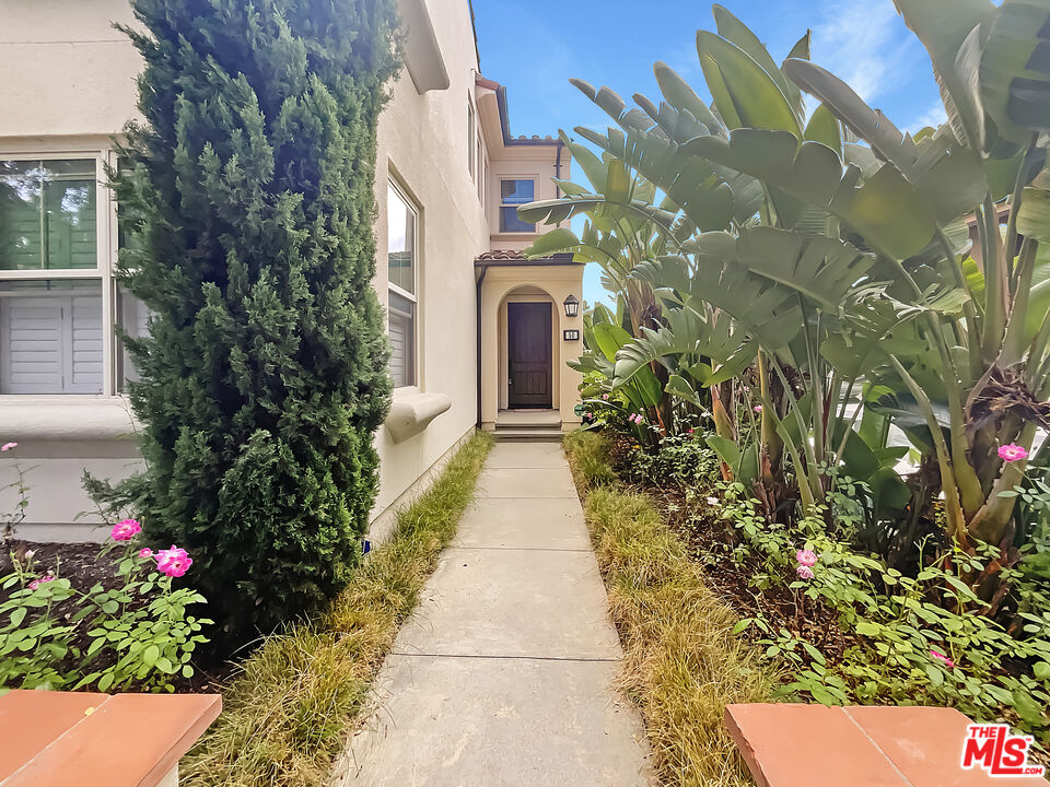 a view of a pathway with flower plants