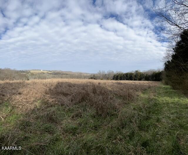 0 Dry Valley Road Loudon, TN 37774 - Photo 1 of 9 IMG_2235