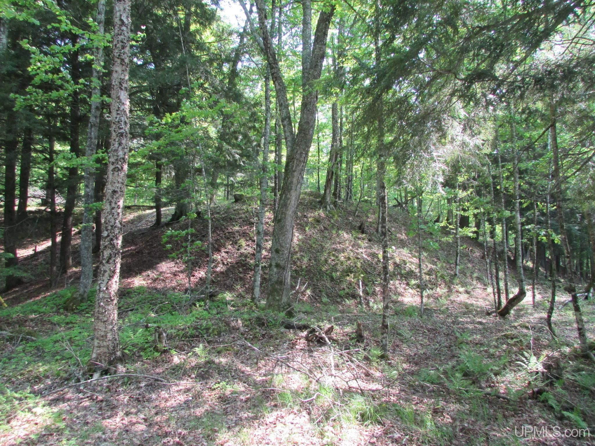 20517 Park Road Skanee, MI 49962 - Photo 75 of 84