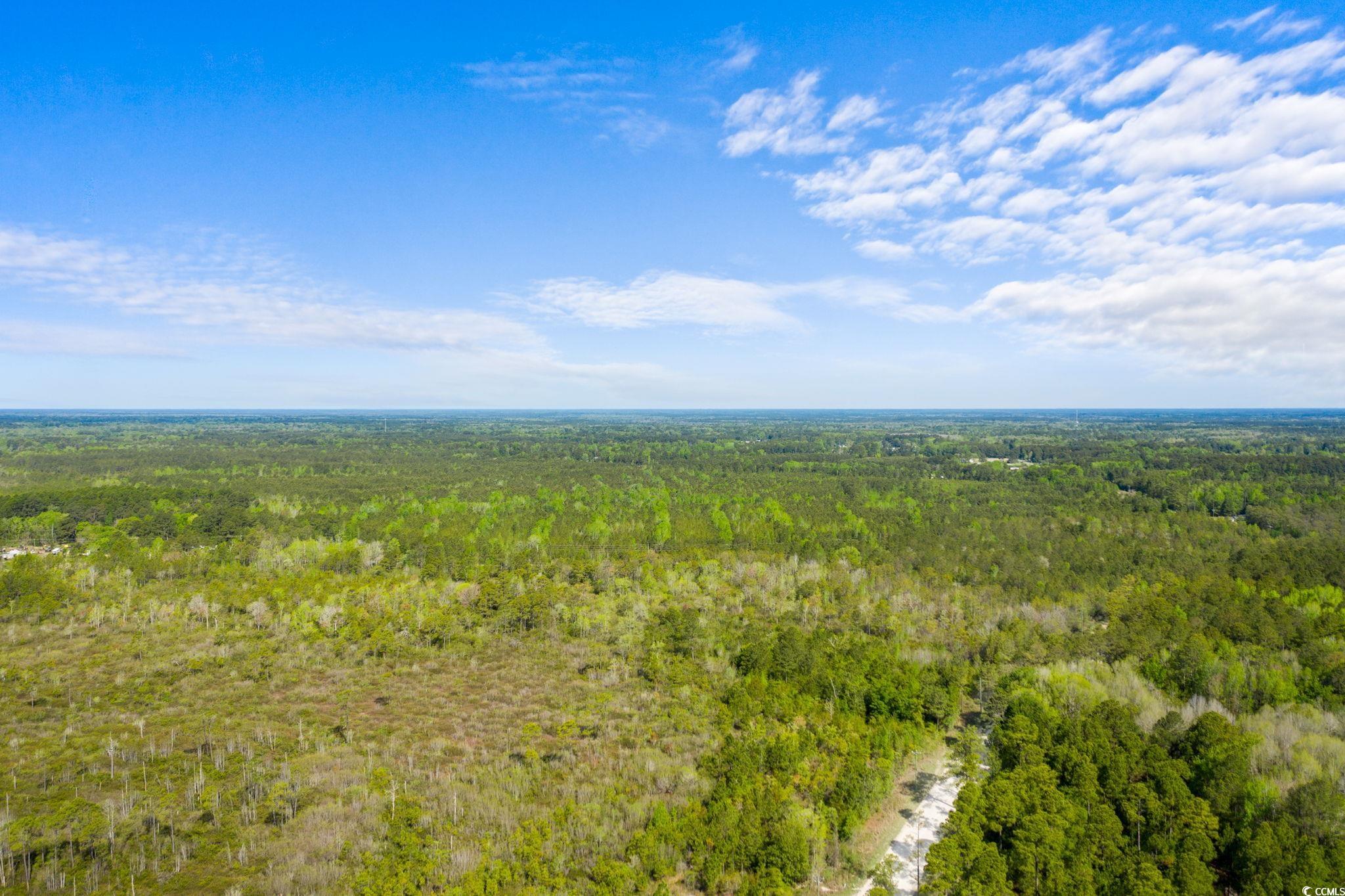 Tbd Water Tower Road Longs, SC 29568 - Photo 2 of 21