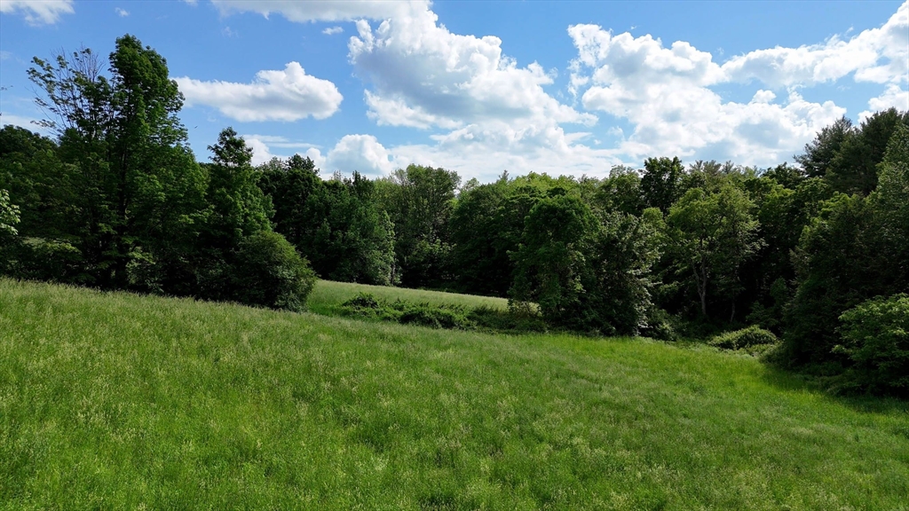 0 Brooks Pond Road Spencer, MA 01562 - Photo 1 of 17 a view of a grassy field with trees in the background