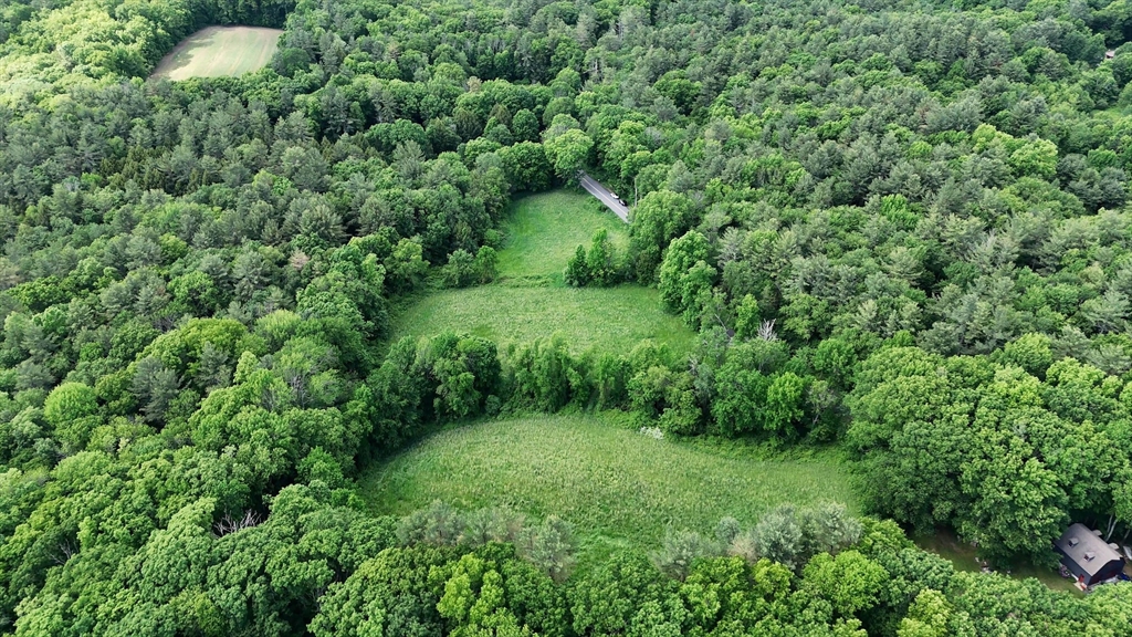 0 Brooks Pond Road Spencer, MA 01562 - Photo 14 of 17 a view of a lush green forest
