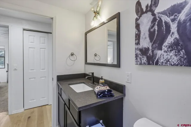 a bathroom with a sink vanity and a mirror