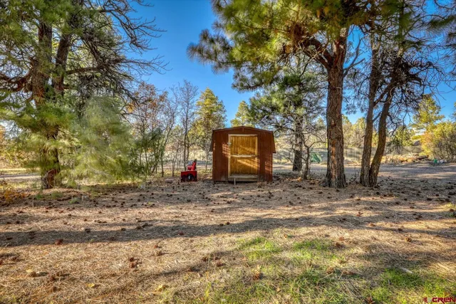 a view of a yard and tree s