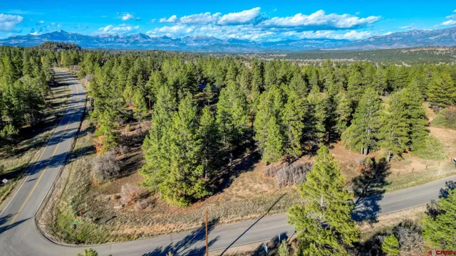 a view of a backyard with plants and a patio