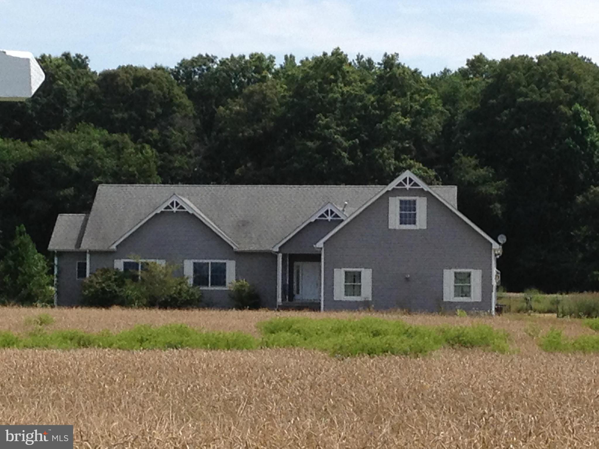 9545 Moreland Road Denton, MD 21629 - Photo 1 of 28 Exterior (Front)
