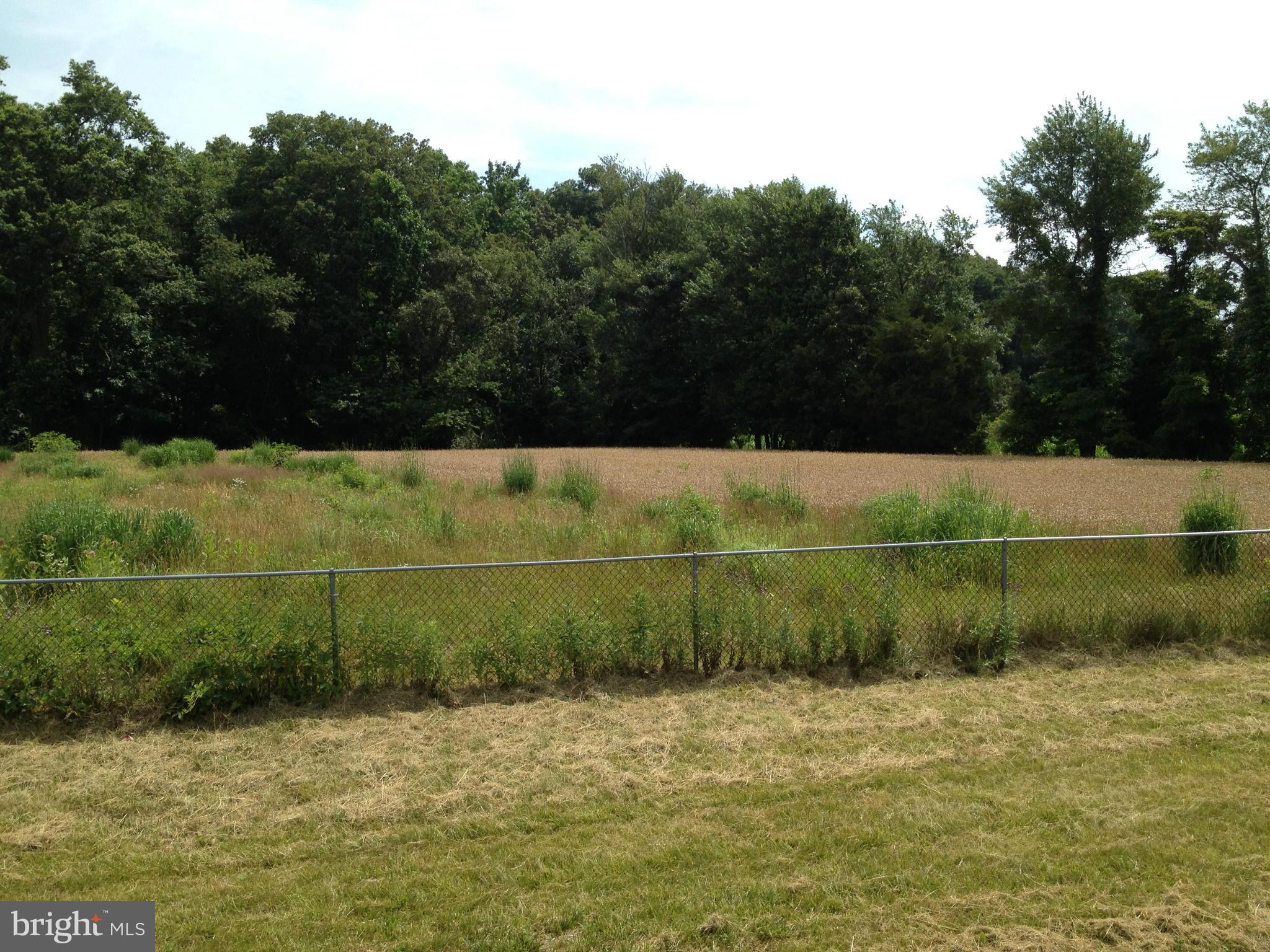 9545 Moreland Road Denton, MD 21629 - Photo 7 of 28 View