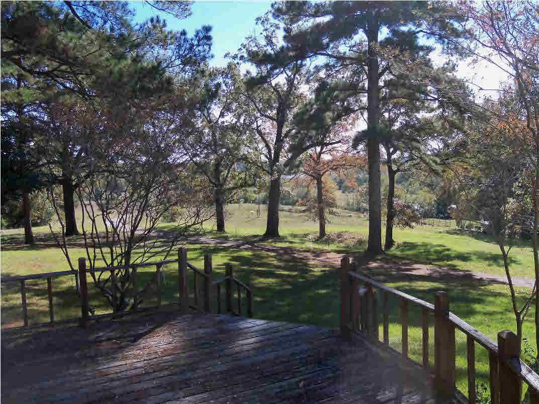 982 Cedar Hill Road Madison, MS 39110 - Photo 9 of 18 Deck, view