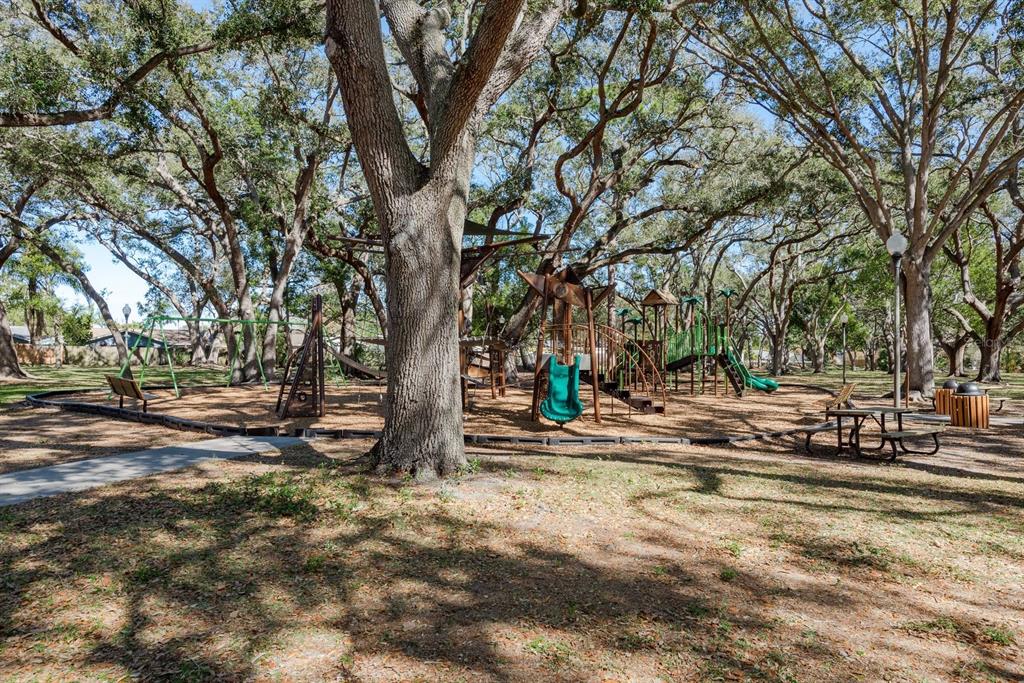 1402 Overlea Drive Dunedin, FL 34698 - Photo 30 of 33